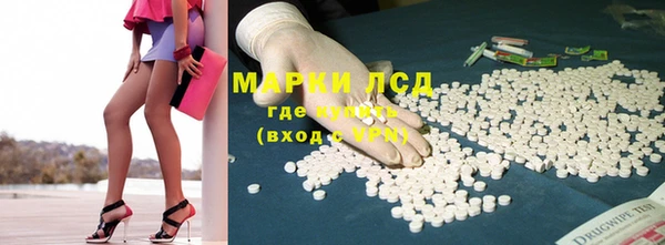 ГАЛЛЮЦИНОГЕННЫЕ ГРИБЫ Балахна