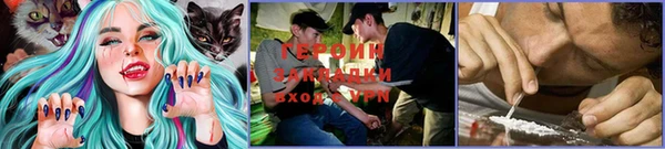ГАЛЛЮЦИНОГЕННЫЕ ГРИБЫ Балахна