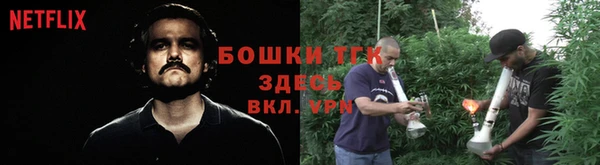 ГАЛЛЮЦИНОГЕННЫЕ ГРИБЫ Балахна