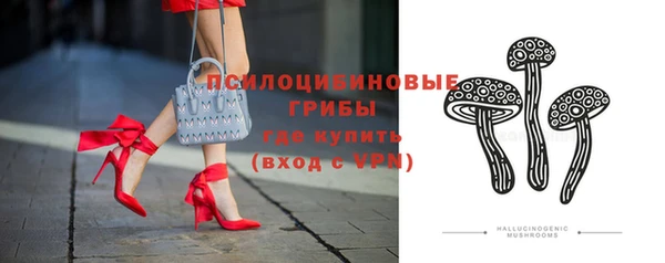 ГАЛЛЮЦИНОГЕННЫЕ ГРИБЫ Балахна