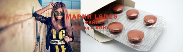 ГАЛЛЮЦИНОГЕННЫЕ ГРИБЫ Балахна