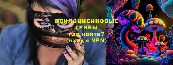 ГАЛЛЮЦИНОГЕННЫЕ ГРИБЫ Балахна