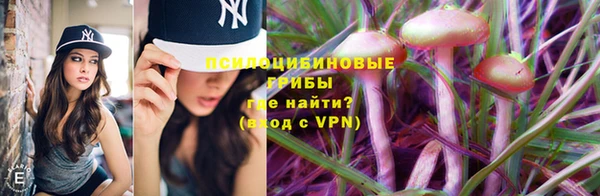 ECSTASY Балабаново