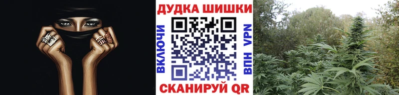 Купить закладки  Новоузенск  Шишки марихуана ГИДРОПОН 